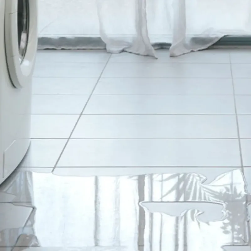 Appliance Leak Cleanup in Blue Island, IL
