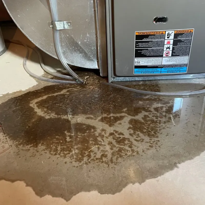 Pipe Burst and Leak Restoration in Blue Island, IL