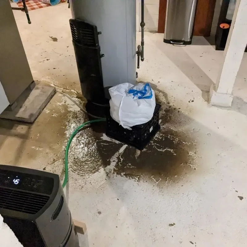 Sewage Backup Cleanup Service in Blue Island, IL